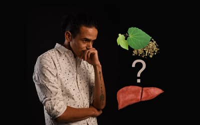 Let’s Uncover the Truth: Does Kava Cause Liver Damage?