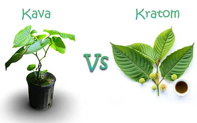 Kratom vs. Kava: A Comprehensive Guide to Two Herbal Remedies