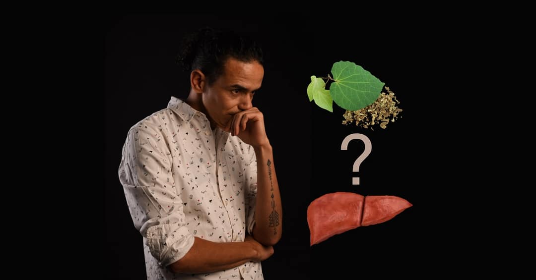 Let's Uncover The Truth Does Kava Cause Liver Damage? Primo Kava